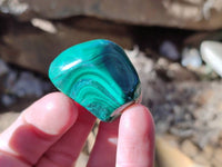Polished Flower Banded Malachite Tumbled Stones x 35 From Congo - Toprock Gemstones and Minerals
