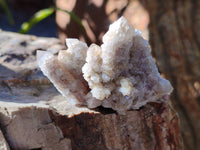 Natural Fairy Spirit Quartz Clusters x 12 From Boekenhouthoek, South Africa - Toprock Gemstones and Minerals