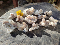 Natural Fairy Spirit Quartz Clusters x 12 From Boekenhouthoek, South Africa - Toprock Gemstones and Minerals