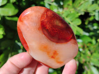 Polished Carnelian Agate Standing Free Forms x 6 From Madagascar - Toprock Gemstones and Minerals