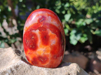 Polished Carnelian Agate Standing Free Forms x 6 From Madagascar - Toprock Gemstones and Minerals