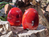 Polished Carnelian Agate Standing Free Forms x 6 From Madagascar - Toprock Gemstones and Minerals