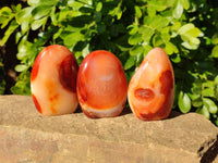Polished Carnelian Agate Standing Free Forms x 6 From Madagascar - Toprock Gemstones and Minerals