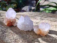 Natural Mixed Spirit Quartz Crystals x 35 From Boekenhouthoek, South Africa - Toprock Gemstones and Minerals