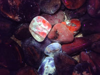 Polished Sodalite Tumbled Stones - Sold Per Kg - From Namibia - Toprock Gemstones and Minerals