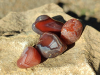 Polished Red Sashe River Agate Tumbled Stones - sold per 1 kg - From Zimbabwe - Toprock Gemstones and Minerals