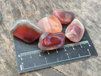 Polished Red Sashe River Agate Tumbled Stones - sold per 1 kg - From Zimbabwe - Toprock Gemstones and Minerals