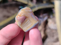 Polished Red Sashe River Agate Tumbled Stones - sold per 1 kg - From Zimbabwe - Toprock Gemstones and Minerals