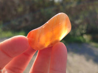 Polished Red Sashe River Agate Tumbled Stones - sold per 1 kg - From Zimbabwe - Toprock Gemstones and Minerals