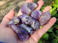 Polished Chevron Amethyst Tumble Stones - Sold per Kg - From Zambia - Toprock Gemstones and Minerals