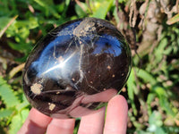 Polished Black Tourmaline Palm Stones x 6 From Madagascar - Toprock Gemstones and Minerals