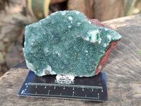 Natural Ball Malachite On Dolomite Matrix Specimens x 2 From Kambove, Congo - Toprock Gemstones and Minerals