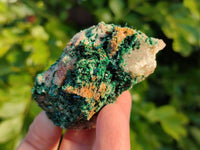 Natural Super Rare Crystalline Malachite Specimens x 6 From Congo - Toprock Gemstones and Minerals
