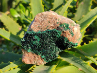 Natural Super Rare Crystalline Malachite Specimens x 6 From Congo - Toprock Gemstones and Minerals