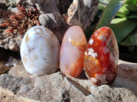 Polished Mixed Carnelian, Ring and Banded and Coral Flower Agate Standing Free Forms x 3 From Madagascar - Toprock Gemstones and Minerals