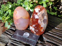 Polished Mixed Carnelian, Ring and Banded and Coral Flower Agate Standing Free Forms x 3 From Madagascar - Toprock Gemstones and Minerals