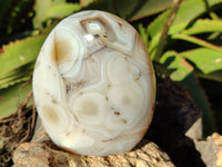 Polished Mixed Carnelian, Ring and Banded and Coral Flower Agate Standing Free Forms x 3 From Madagascar - Toprock Gemstones and Minerals