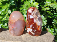 Polished Mixed Carnelian, Ring and Banded and Coral Flower Agate Standing Free Forms x 3 From Madagascar - Toprock Gemstones and Minerals