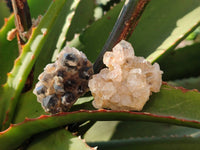Natural Golden Limonite Quartz Clusters x 36 From Solwezi, Zambia - Toprock Gemstones and Minerals