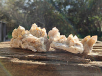 Natural Golden Limonite Coated Fairy Spirit Quartz Clusters x 6 From Boekenhouthoek, South Africa - Toprock Gemstones and Minerals