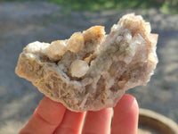 Natural Golden Limonite Coated Fairy Spirit Quartz Clusters x 6 From Boekenhouthoek, South Africa - Toprock Gemstones and Minerals