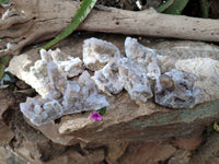 Natural Golden Limonite Coated Fairy Spirit Quartz Clusters x 6 From Boekenhouthoek, South Africa - Toprock Gemstones and Minerals