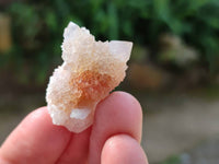 Natural Golden Limonite Coated Spirit Quartz Clusters x 70 From Boekenhouthoek, South Africa - Toprock Gemstones and Minerals