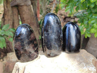 Polished Black Tourmaline Standing Free Form x 3 From Madagascar - Toprock Gemstones and Minerals