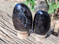 Polished Black Tourmaline Standing Free Form x 3 From Madagascar - Toprock Gemstones and Minerals