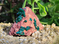 Natural Dioptase Crystals on Dolomite Matrix Specimens x 6 From Likasi, Congo - Toprock Gemstones and Minerals