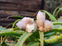 Natural Lilac Amethyst Spirit Quartz Clusters x 35 From Boekenhouthoek, South Africa - Toprock Gemstones and Minerals