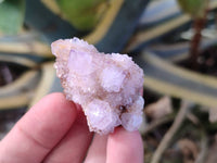 Natural Lilac Amethyst Spirit Quartz Clusters x 35 From Boekenhouthoek, South Africa - Toprock Gemstones and Minerals