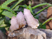 Natural Lilac Amethyst Spirit Quartz Clusters x 35 From Boekenhouthoek, South Africa - Toprock Gemstones and Minerals