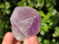 Natural Jacaranda Amethyst Quartz Crystals x 12 From Mumbwa, Zambia - Toprock Gemstones and Minerals