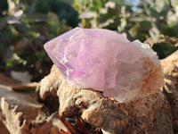 Natural Jacaranda Amethyst Quartz Crystals x 12 From Mumbwa, Zambia - Toprock Gemstones and Minerals