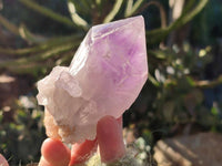 Natural Jacaranda Amethyst Quartz Crystals x 12 From Mumbwa, Zambia - Toprock Gemstones and Minerals