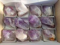 Natural Jacaranda Amethyst Quartz Crystals x 12 From Mumbwa, Zambia - Toprock Gemstones and Minerals