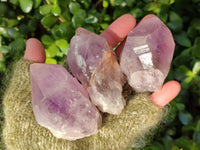 Natural Jacaranda Amethyst Quartz Crystals x 12 From Mumbwa, Zambia - Toprock Gemstones and Minerals