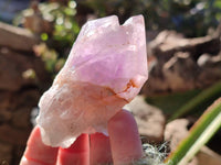 Natural Jacaranda Amethyst Quartz Crystals x 12 From Mumbwa, Zambia - Toprock Gemstones and Minerals