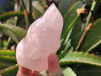 Polished Rose Quartz Flames x 2 From Ambatondrazaka, Madagascar - Toprock Gemstones and Minerals