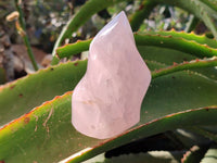 Polished Rose Quartz Flames x 2 From Ambatondrazaka, Madagascar - Toprock Gemstones and Minerals