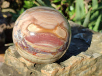 Polished Podocarpus Petrified Wood Spheres x 2 From Mahajanga, Madagascar - Toprock Gemstones and Minerals