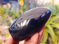 Polished Black Tourmaline Standing Free Form x 4 From Madagascar - Toprock Gemstones and Minerals