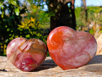 Polished Red Podocarpus Petrified Wood Hearts x 3 From Mahajanga, Madagascar - Toprock Gemstones and Minerals