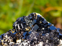 Natural Schorl Black Tourmaline Specimens x 6 From Erongo, Namibia - Toprock Gemstones and Minerals