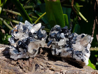 Natural Schorl Black Tourmaline Specimens x 6 From Erongo, Namibia - Toprock Gemstones and Minerals