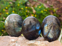 Polished Labradorite Palm Stones x 12 From Tulear, Madagascar - Toprock Gemstones and Minerals