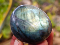 Polished Labradorite Palm Stones x 12 From Tulear, Madagascar - Toprock Gemstones and Minerals
