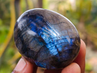 Polished Labradorite Palm Stones x 12 From Tulear, Madagascar - Toprock Gemstones and Minerals