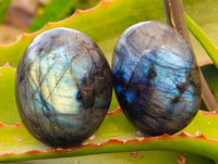 Polished Labradorite Palm Stones x 12 From Tulear, Madagascar - Toprock Gemstones and Minerals